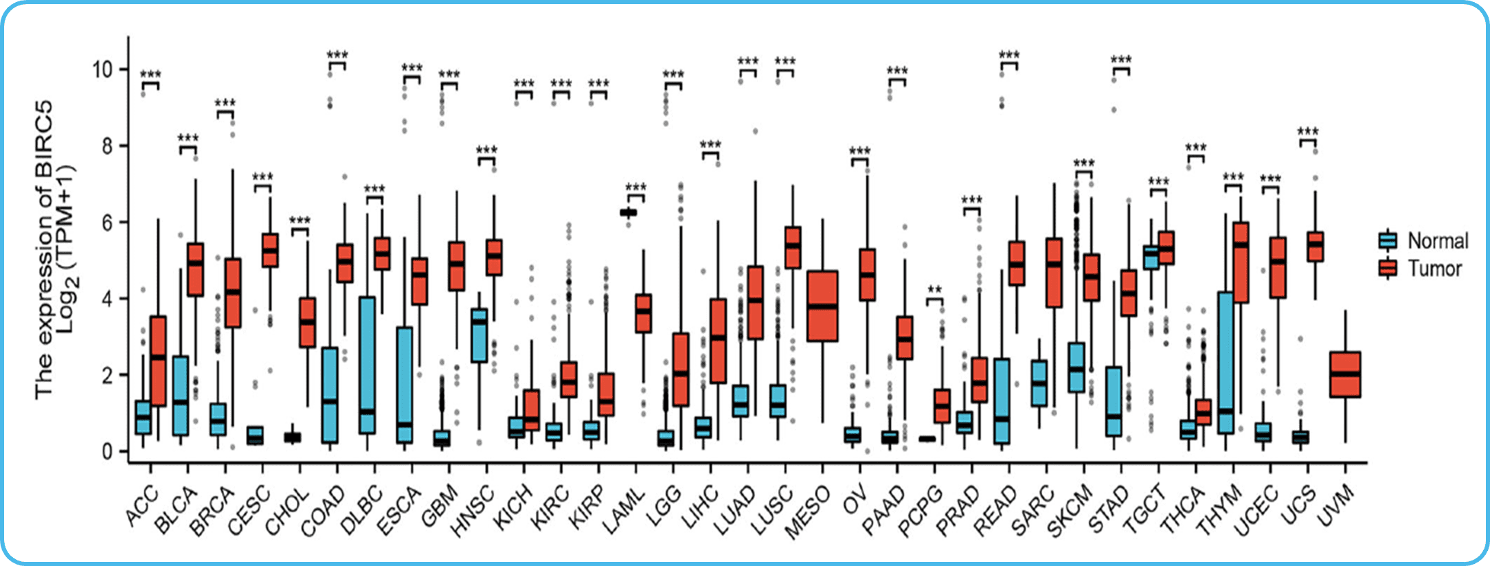 Overexpression of survivin in solid tumours